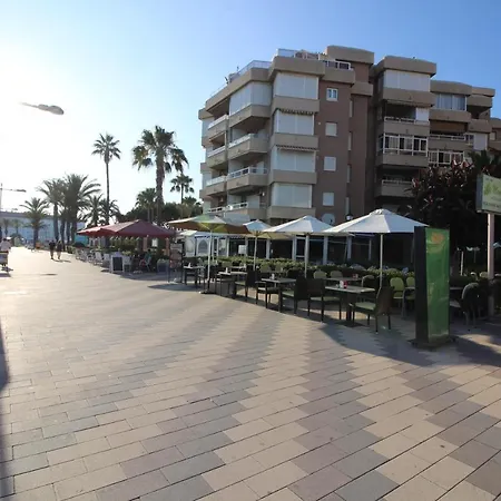Carpe Diem Torrox